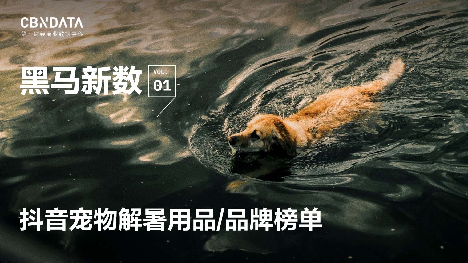 CBNData CBNData